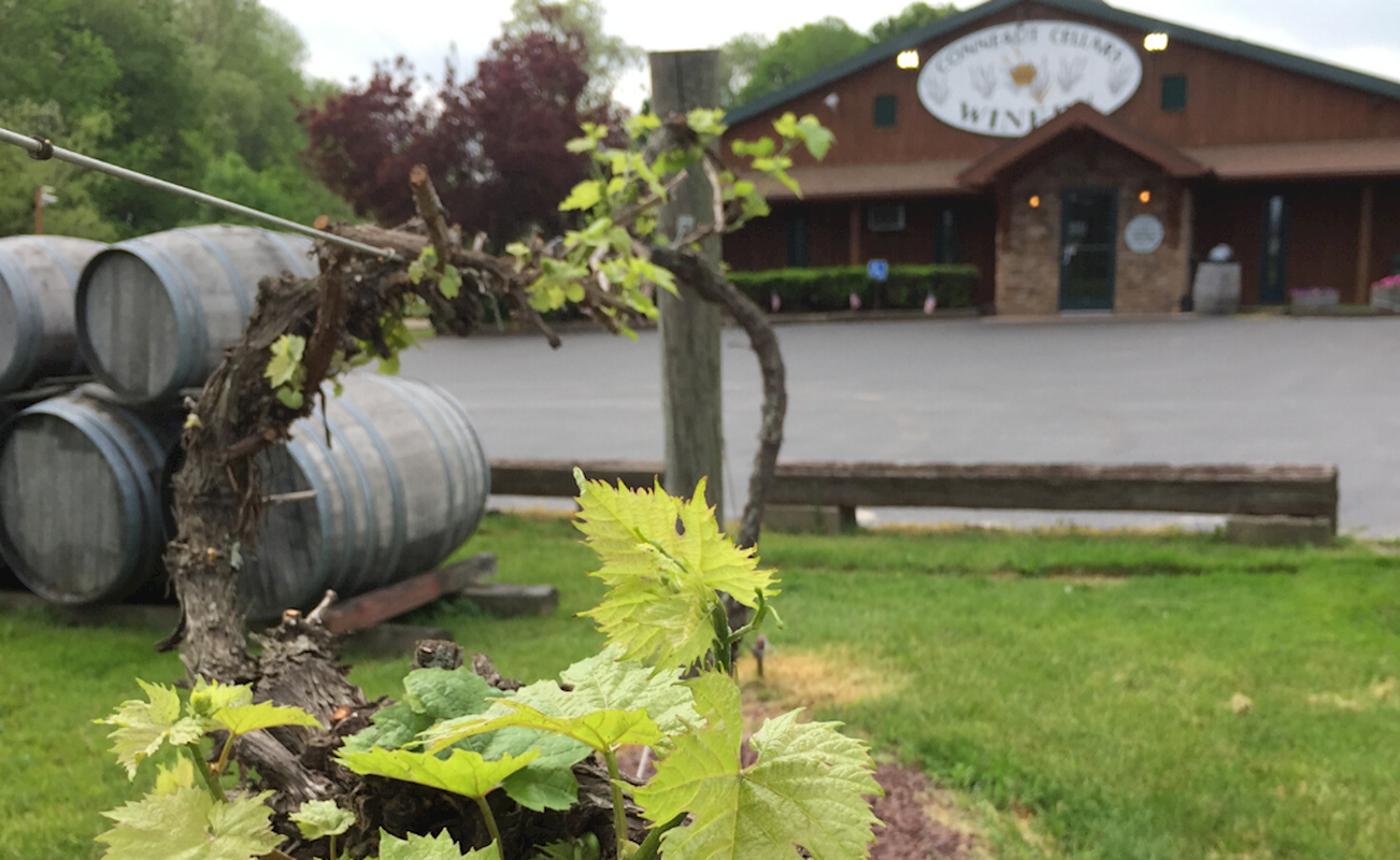 Conneaut Cellars Winery and Distillery Photo 4 1