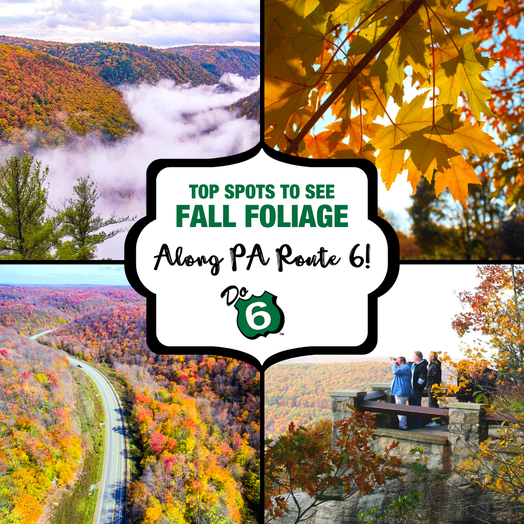 Top Places to See Fall Foliage Along PA Route 6