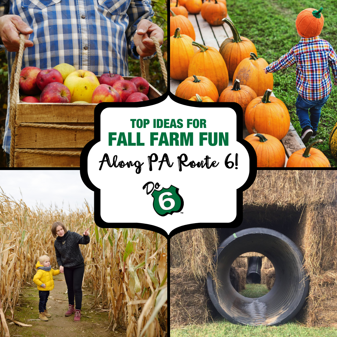 Fall Farm Fun Along PA Route 6