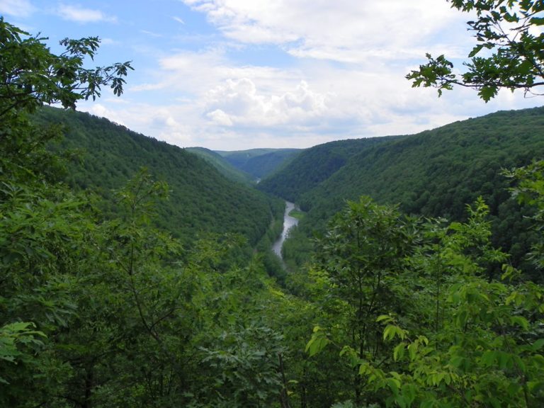 The Grand Canyon of Pennsylvania by J. Stephen Conn is licensed under CC BY NC 2.0 768x576