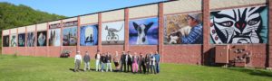 Wayne County Arts Alliance 2019 artists with full wall by David Soete