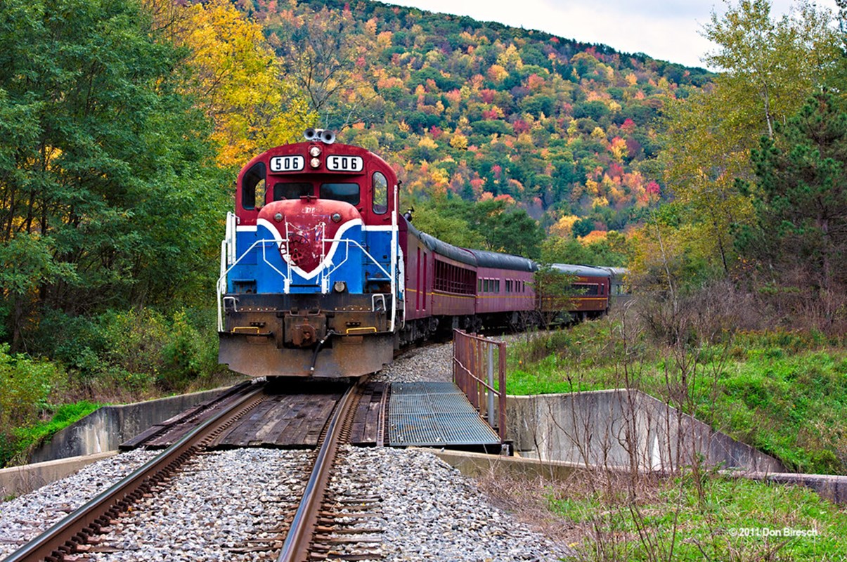 tioga central train fall run by dfbphotos is licensed under CC BY 2.0