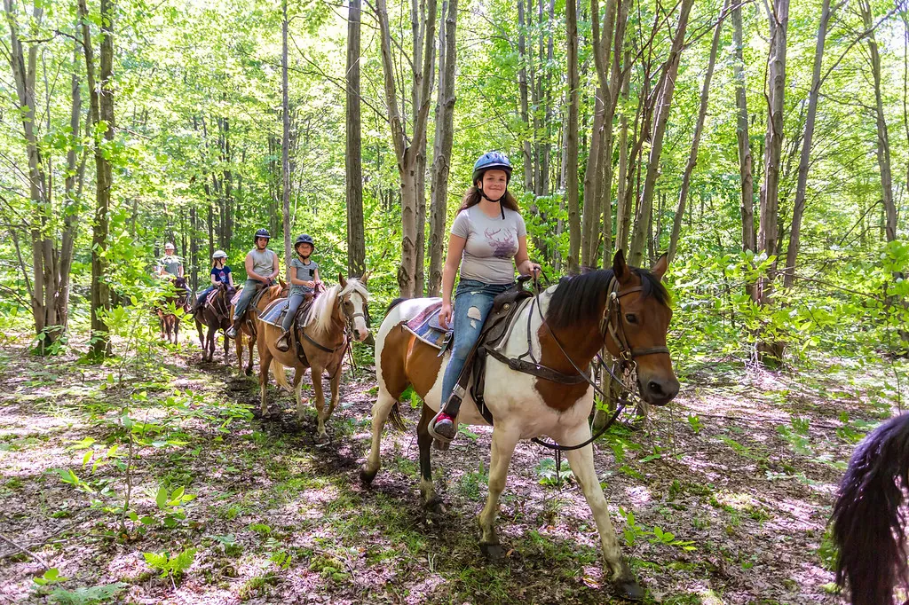 Double D.A.B. Riding Stable - Discover PA's Route 6 | Pennsylvania’s ...