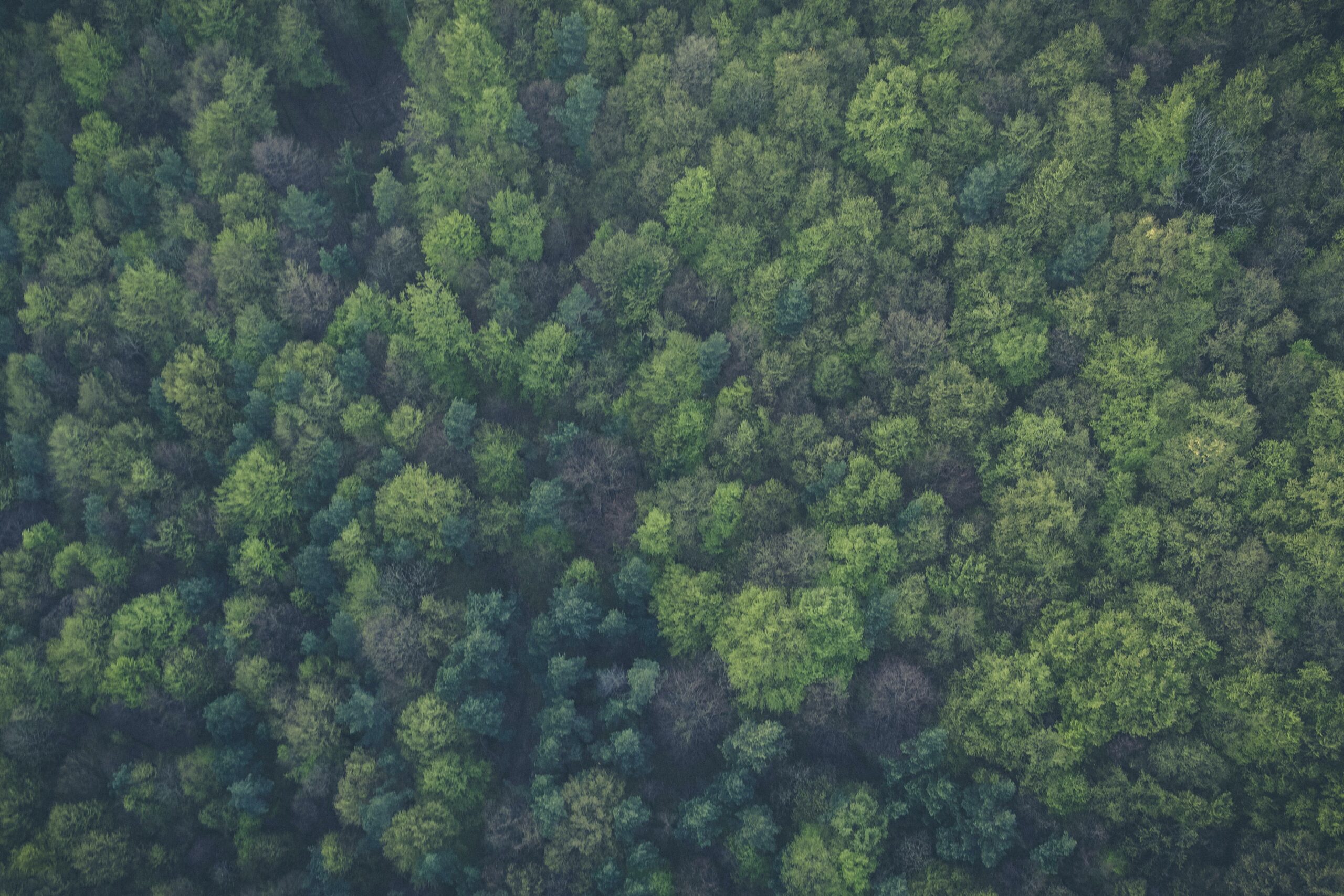 The Pocono Mountains Region