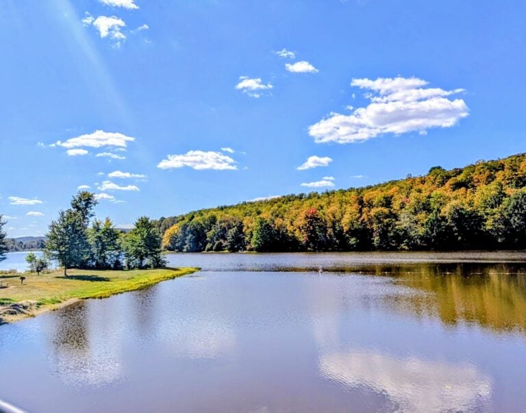 Chapman State Park